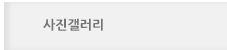 사진갤러리